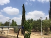 Street Aglantzia 2 768x576